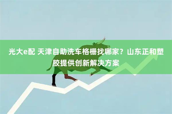 光大e配 天津自助洗车格栅找哪家？山东正和塑胶提供创新解决方案