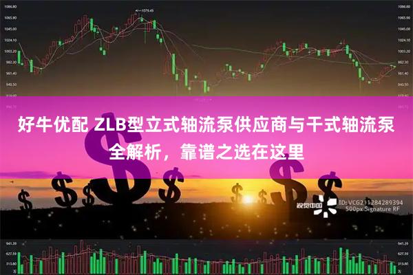 好牛优配 ZLB型立式轴流泵供应商与干式轴流泵全解析，靠谱之选在这里