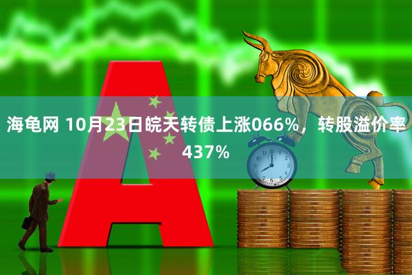 海龟网 10月23日皖天转债上涨066%，转股溢价率437%